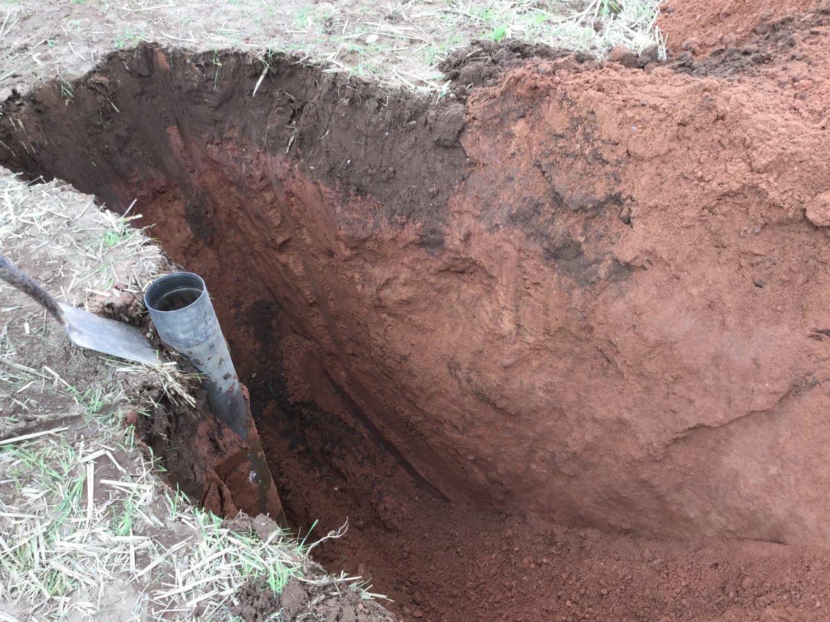 Dan Evans tweet media