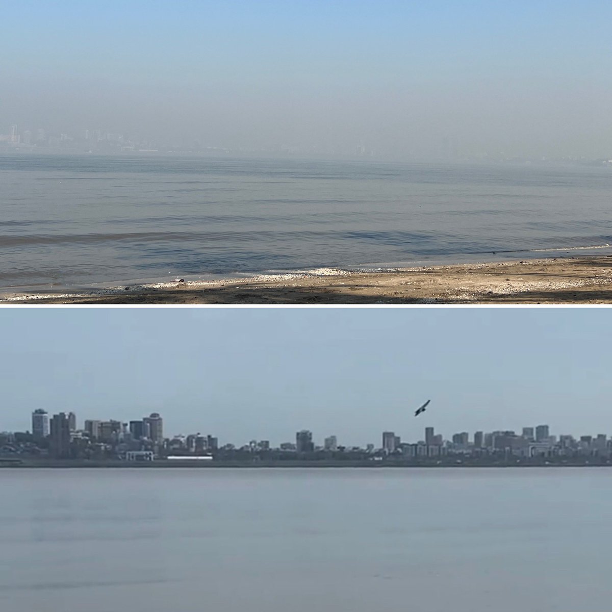 Avni Raja tweet media