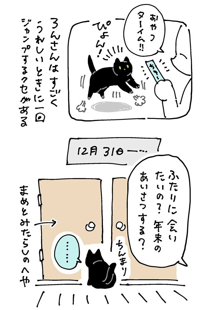 大晦日、新入りの猫と対面した先住猫 その後の行動に「最高」「可愛すぎます」 https://t.co/qmhudXgQ2k @grapeejpより 