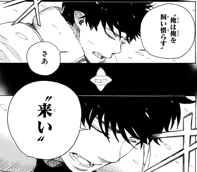【青エク名言集】
燐「"俺は俺(おまえ)を飼い慣らす" さあ "来い"」
(28巻132話「無双 爆ぜる」より) 