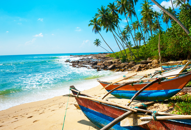 Sri Lanka Immigration tweet media