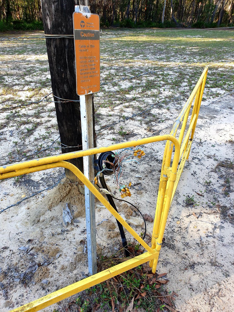 True Blue Dragon tweet media