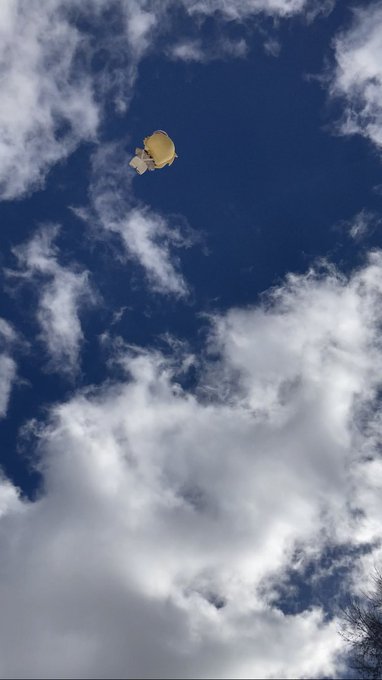 空からこうさぎが 