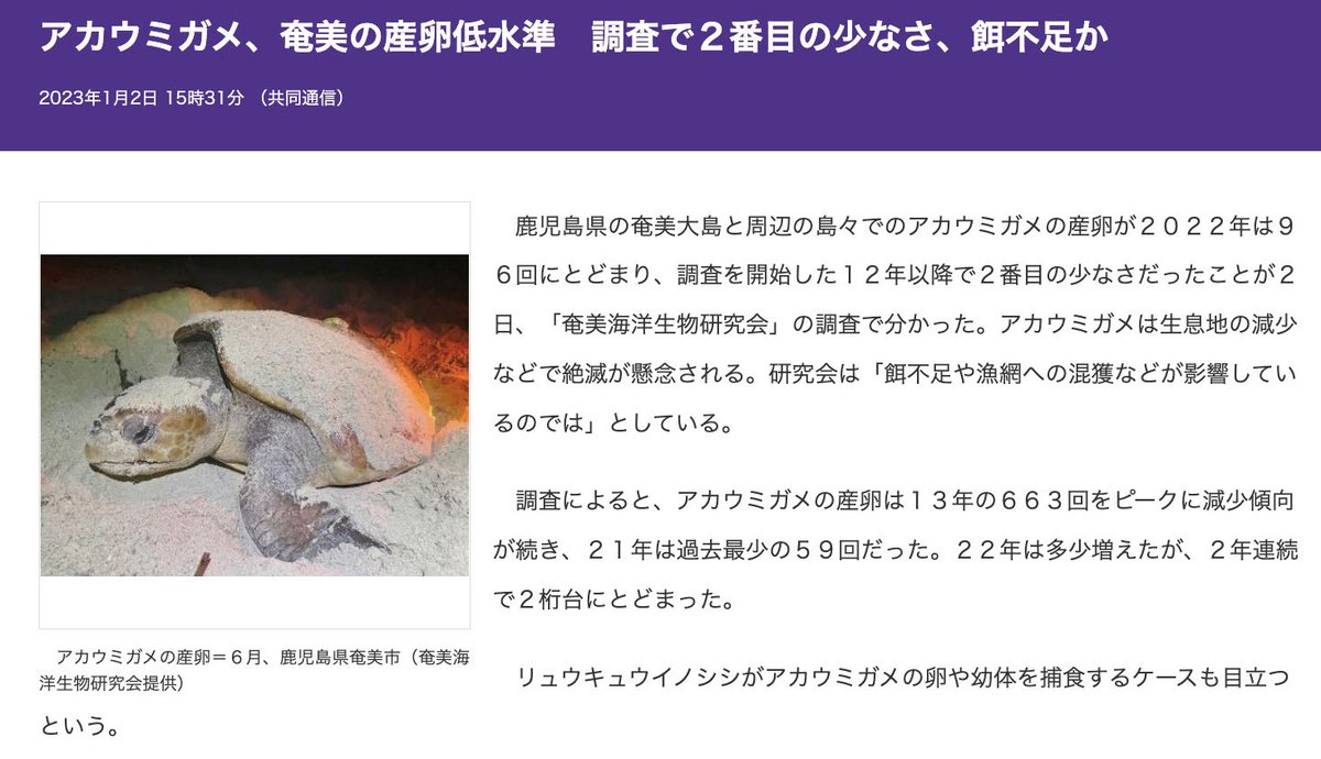 ■アカウミガメ、奄美の産卵低水準　調査で2番目の少なさ、餌不足か

餌不足や漁網への混獲などが影響していると考えられ、アカウミガメは生息地の減少などで絶滅が懸念される。

1月2日 日運
●コード101「ウミガメ。亀を見舞う大きな受難」

<a href="/amasehimika147/">天瀬ひみか</a>

#神の予言CBK