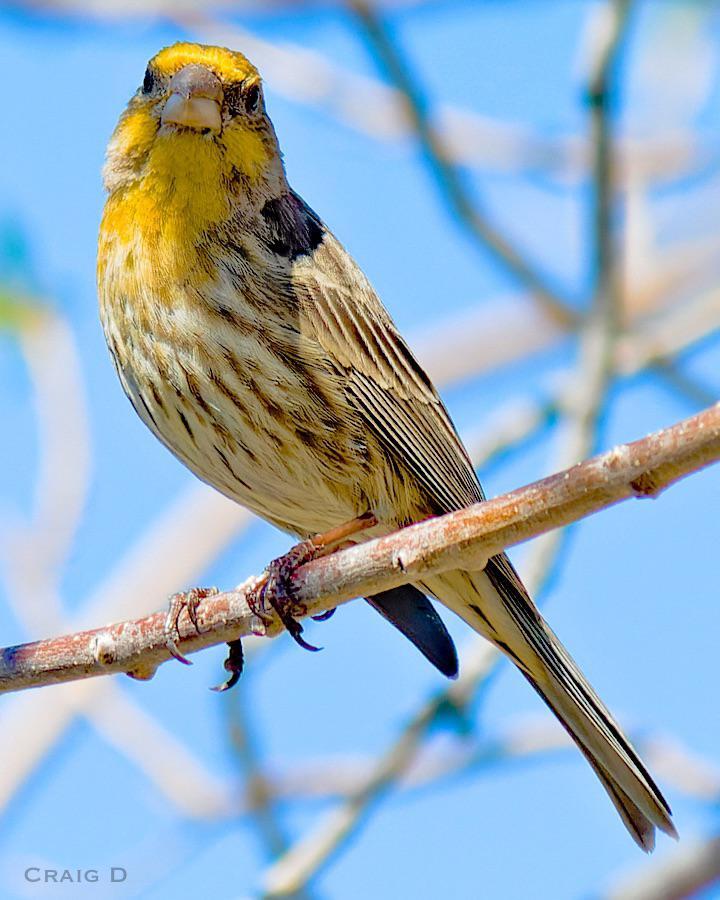 Nature is Beautiful tweet media