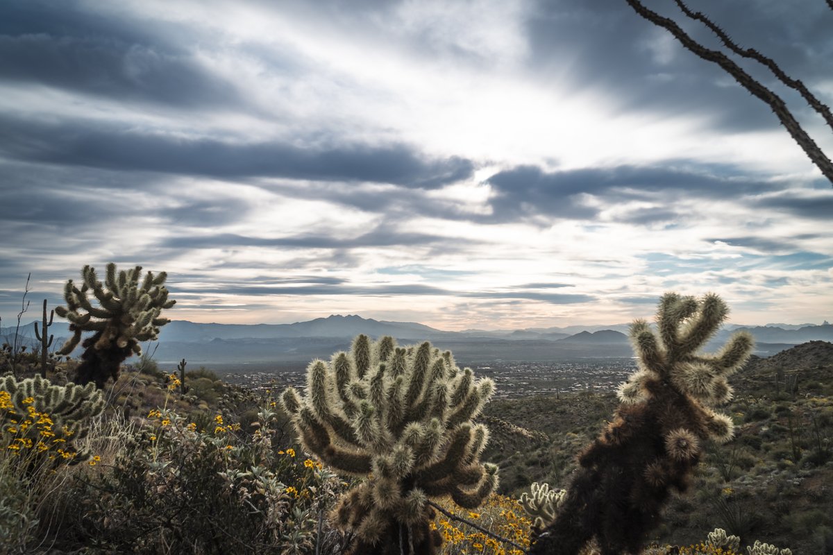 studioGRACIOUS's tweet photo. 2022 marked a return to #travel so this week will be a look back on my #favefour from different trips. Let's start with #Scottsdale #Arizona 📸 🌵 #desert #photography #graciouspix #SonyAlpha #dryheat #cactus #sunset https://t.co/6wu6JX0Yxs