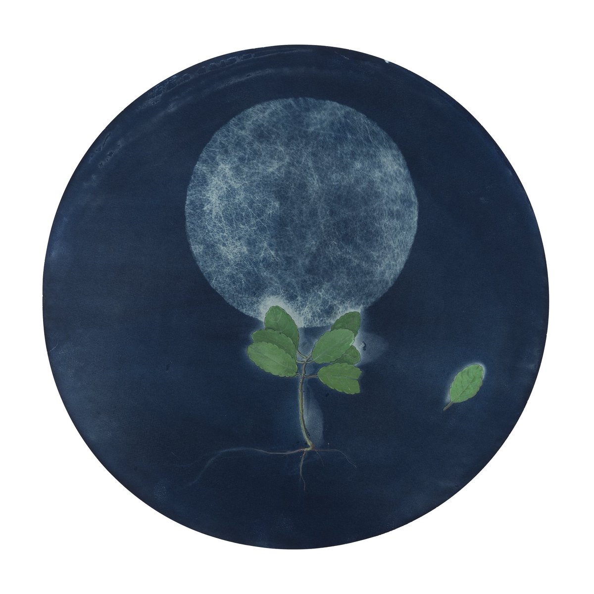 artindiamag's tweet photo. Magazine: From materials and memories to structures and sculptures, Sandhya Bordewekar discusses how artists have re-imagined the world of nature. Read more in the issue 'The Garden': https://t.co/ngRrBsxkCe https://t.co/AJIK7dSQJP