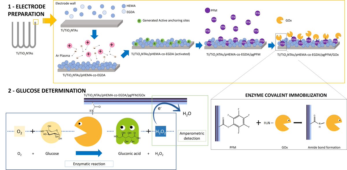 Sensors_MDPI's tweet image. #highlycitedpaper
Analytical Parameters of a Novel Glucose Biosensor Based on Grafted PFM as a Covalent Immobilization Technique
mdpi.com/1424-8220/21/1…
#bioanalyticalmethods #electrochemicalbiosensor #HEMA #PFM #glucoseoxidase