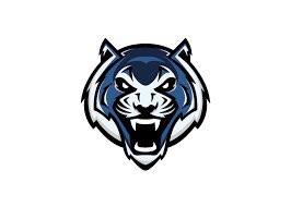 hbkshard's tweet photo. Very thankful to receive an offer from Lincoln university💙 @JosephC48447705 @PFitzB https://t.co/yZAe8TiVSC