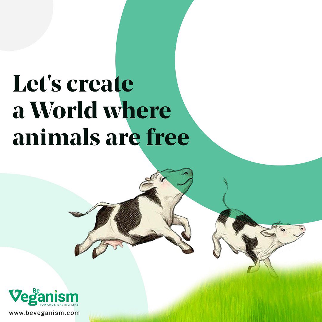 beveganism's tweet photo. HUMAN RIGHTS DO NOT INCLUDE ANIMAL WRONGS - THINK IT DEEP
.
.
#beveganism #veganrevolution #beyondmeat #beyondmeatburger #govegan #govegans #veganuary #veganfacts #plantbasedburger #veganlife #veganactivism #veganactivist #veganforplanet #animalagriculture #ClimateActionNow https://t.co/ZB1PBhRnGd