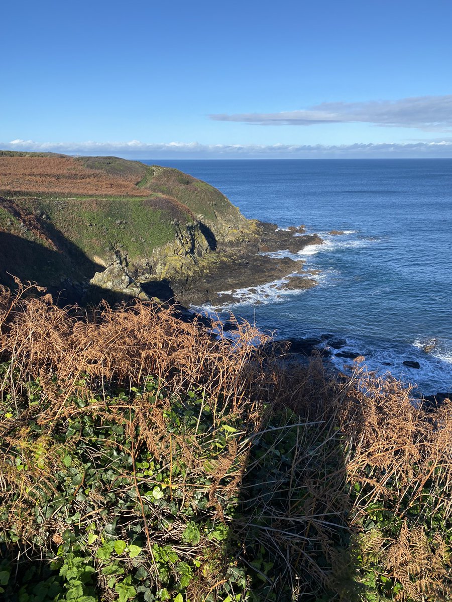 Dominiquepucini's tweet photo. La jument de Michao https://t.co/MVsbDQ892R #TriYann
#Bretagne
« Heureusement que Jésus-Christ n'est pas mort dans son lit. Sinon, en Bretagne, il y aurait un sommier en granit à chaque carrefour. »
#JeanYanne https://t.co/6a9GsZnxOi