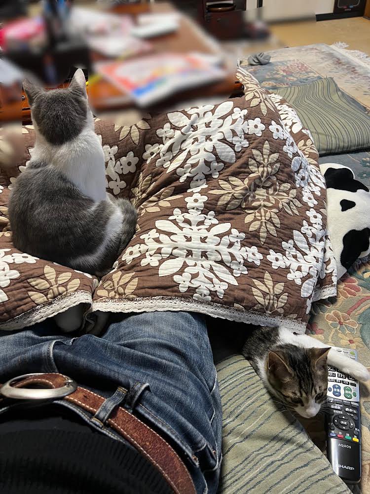 渡辺コウジ on Twitter