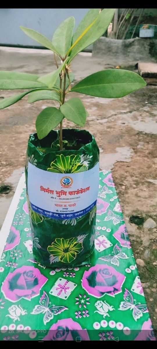 Bharat_A_Chawre's tweet photo. Nirmal Bhumi foundation 
We wish a happy birthday to @GretaThunberg 🎂 who loves the environment by giving her a tree.
 Your efforts regarding the environment inspire us to do something.
🌱🌍🌱🌴🌴
#Environmentlover https://t.co/i8ptxY0oW9