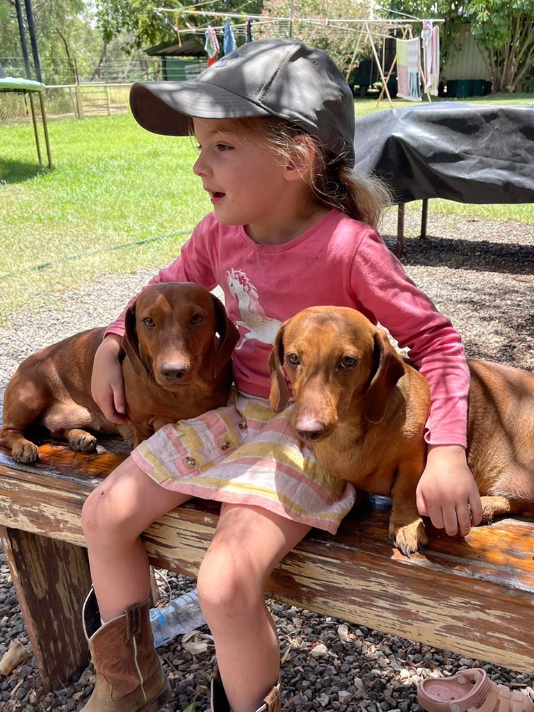 George Scott tweet media