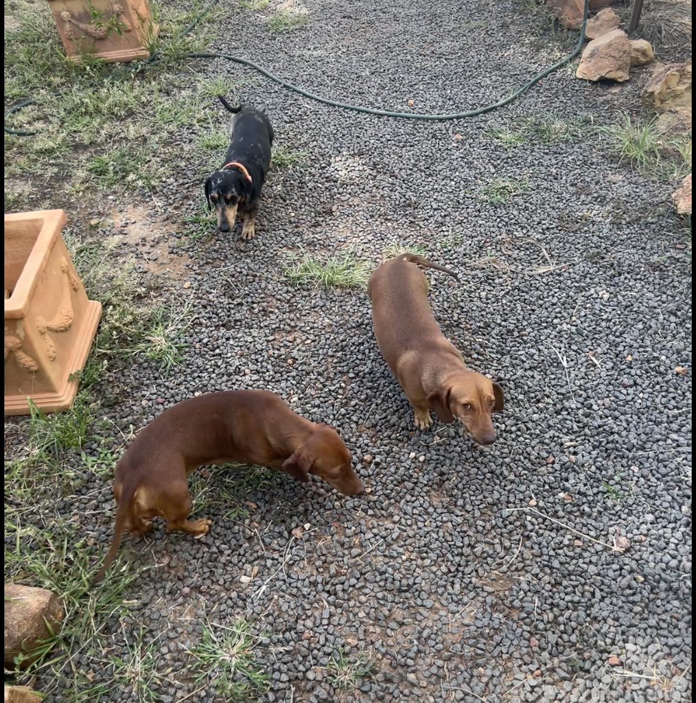 George Scott tweet media