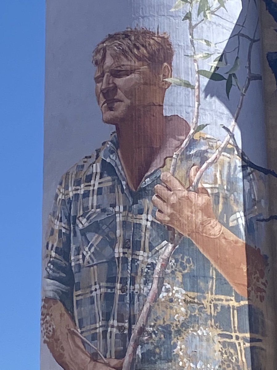 Bern1009's tweet image. #WimmeraMalleeSiloArtTtrail
#Patchewollock
#Noodle