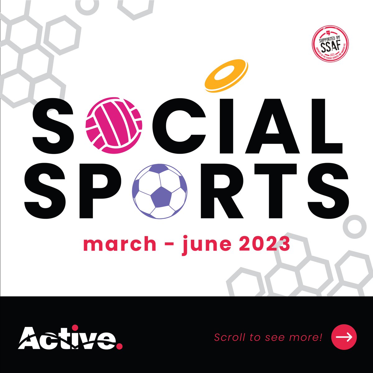 Murdoch Active tweet media