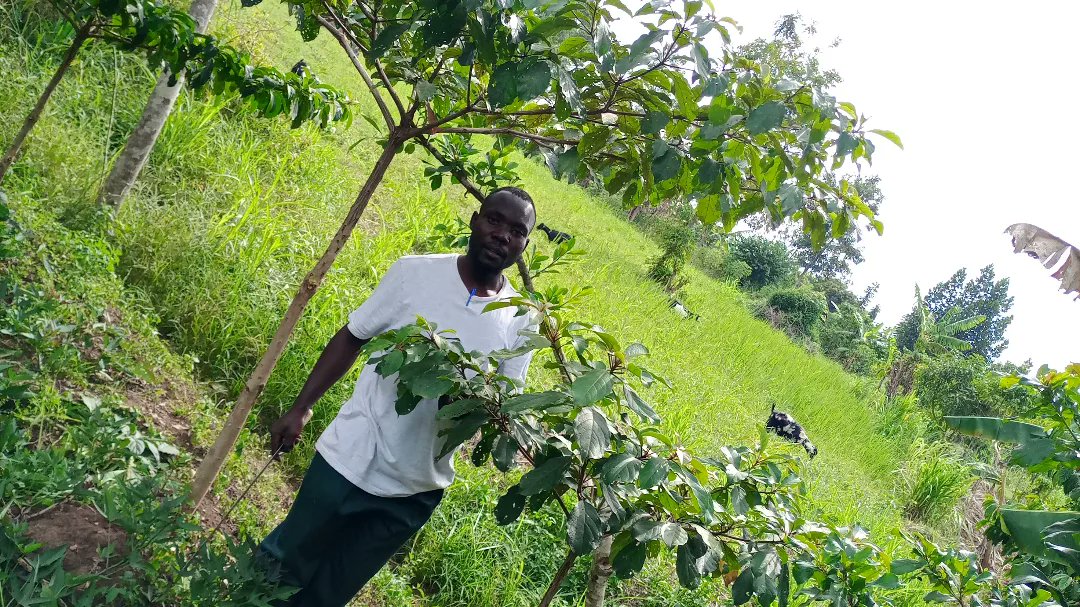 Farmers association of wakiso district tweet media