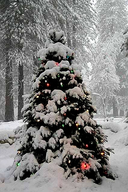 DKadyan2010's tweet photo. @DavidCa69831622 ❄️❄️ Good Morning ❄️❄️
Winter's a season of preparation time hearty, lots of cuddles a smiley feel to set snow like inside in good warmth it sweetness. In winter time to gather golden moments a sentimental journey, enjoy everything marvels at beauty of world! ❤️🧣💛 #LiveNewLife https://t.co/7F7zcpcR70