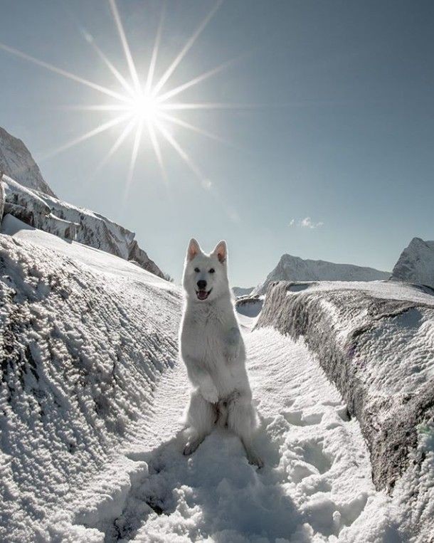 Krystyn31197823's tweet photo. Good morning     🥰❤️❄️✨ https://t.co/TtkgbH4DPe