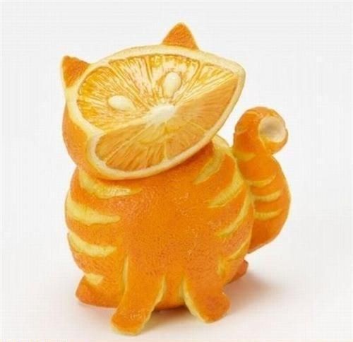 SweetSeasonsZim's tweet photo. Orange cat https://t.co/t9uNN7U7Pm