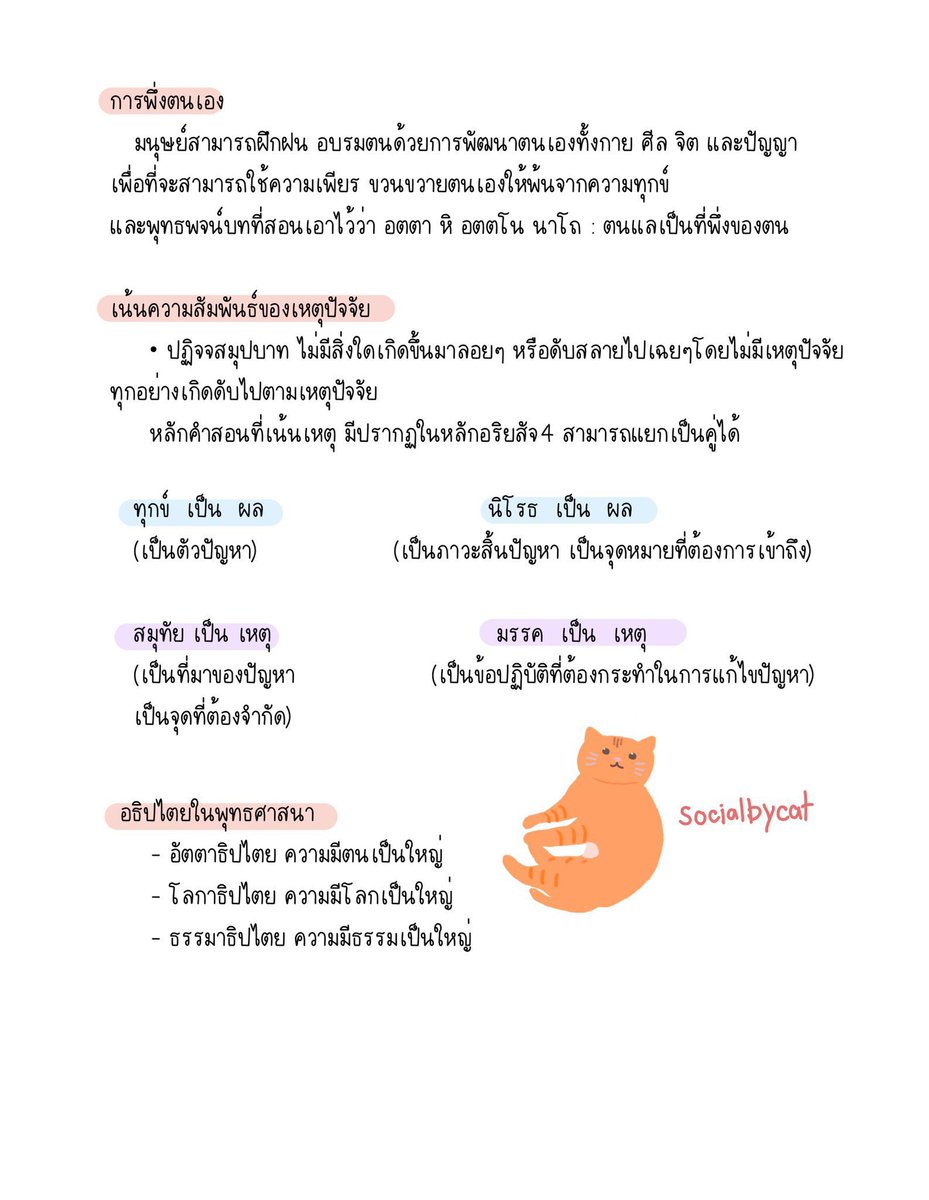 สังคมbyแมวส้ม tweet media