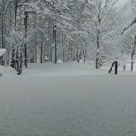 ツイートに含まれる画像