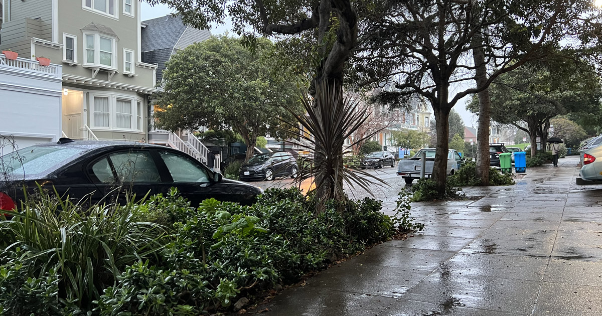 SFUrbanForester's tweet photo. During rainstorms, when San Francisco's aging storm-sewer system gets overloaded, polluted water flows into San Francisco Bay and the Pacific Ocean. When we replace impermeable concrete with street trees and sidewalk gardens, we capture stormwater and reduce polluted overflow! https://t.co/rlRUtioWi4