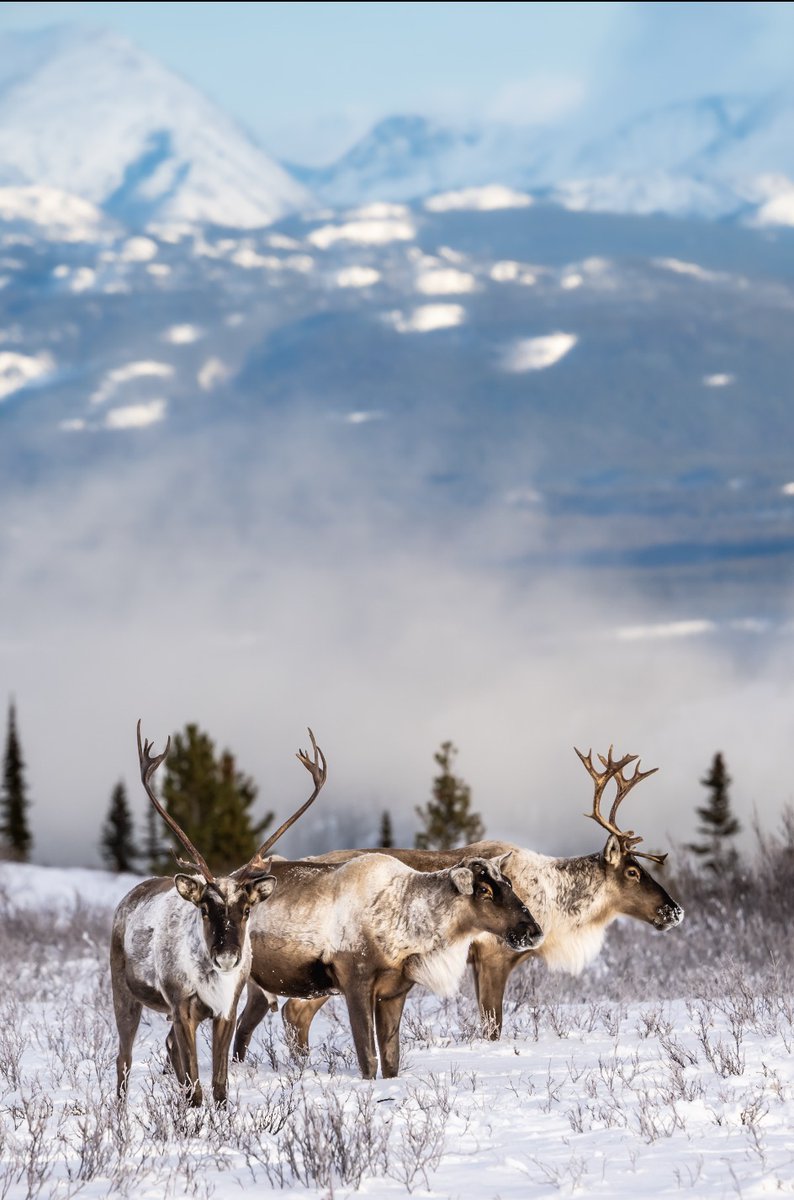 Mark Kelly Photography tweet media