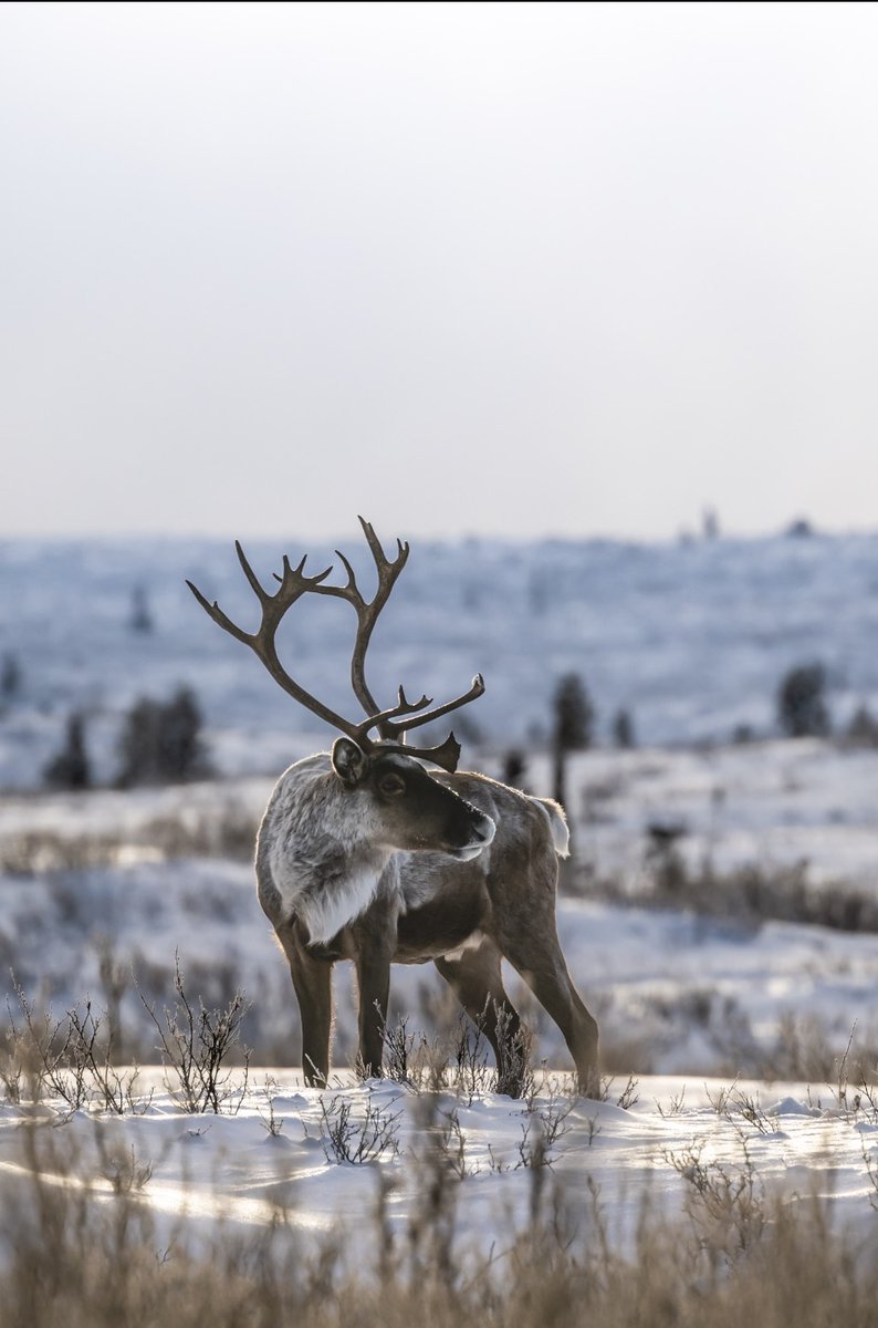 Mark Kelly Photography tweet media