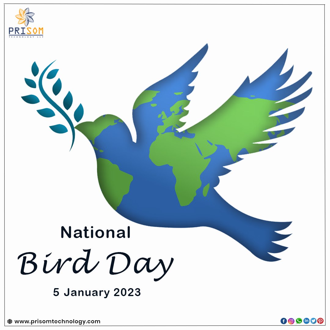 “Vibrant colours and soft feathers, they define their beauty in the most special way and are always a treat for eyes and ears….. Happy National Bird Day.”
#nationalbirdday #birds #bird #prisomtechnologyllp #softwarecompany #softwaredevelopmentcompany #ahemdabad #india