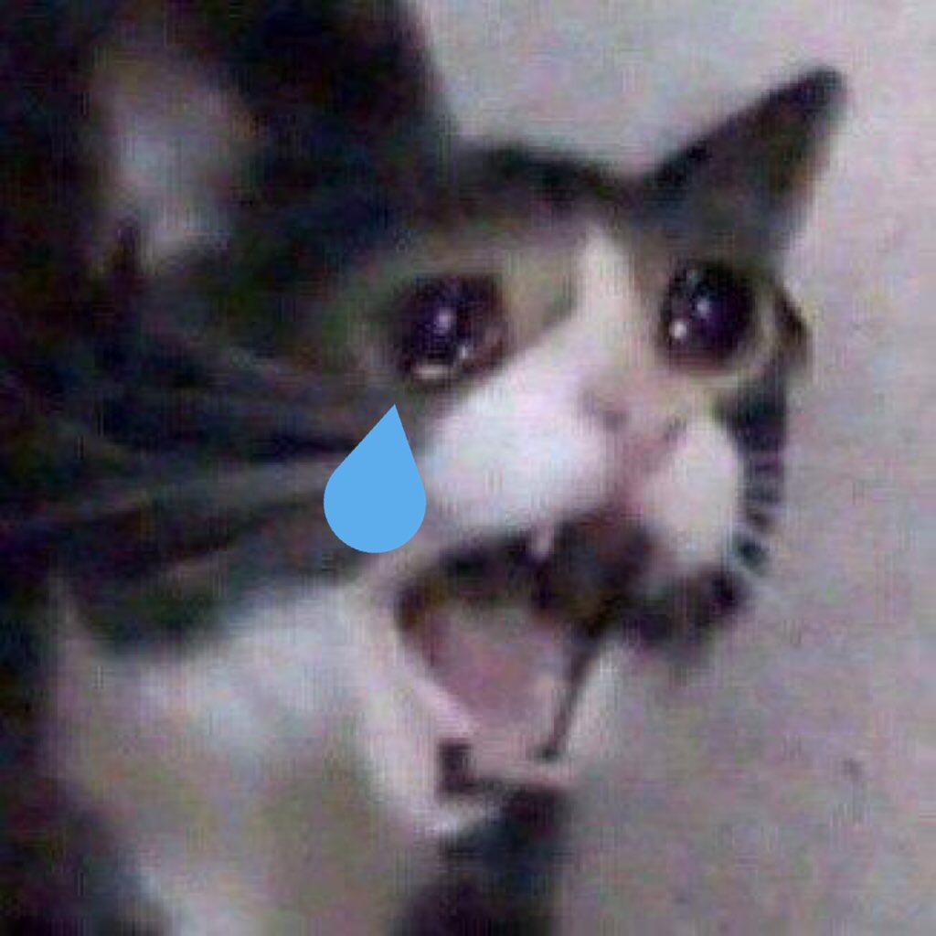 호두호두 (@hodutopgun) on Twitter photo 