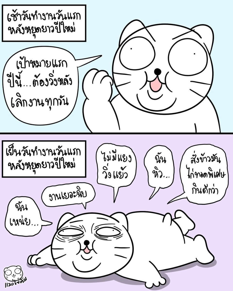 แมวไข่ต้ม tweet media