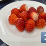 chobi_TMのツイート画像