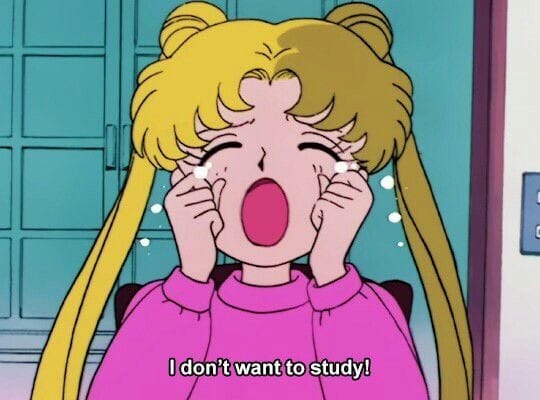 studyraay's tweet image. ⌕ search : #studytwtbr #langtwt #studytwt #lifetwt #booktwt 

→ela, 2002 🇧🇷
→enem
→veg 
→entp
→japonês e esperanto 
→animes, doramas e séries

♡/↻=moots