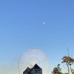 ツイートに含まれる画像