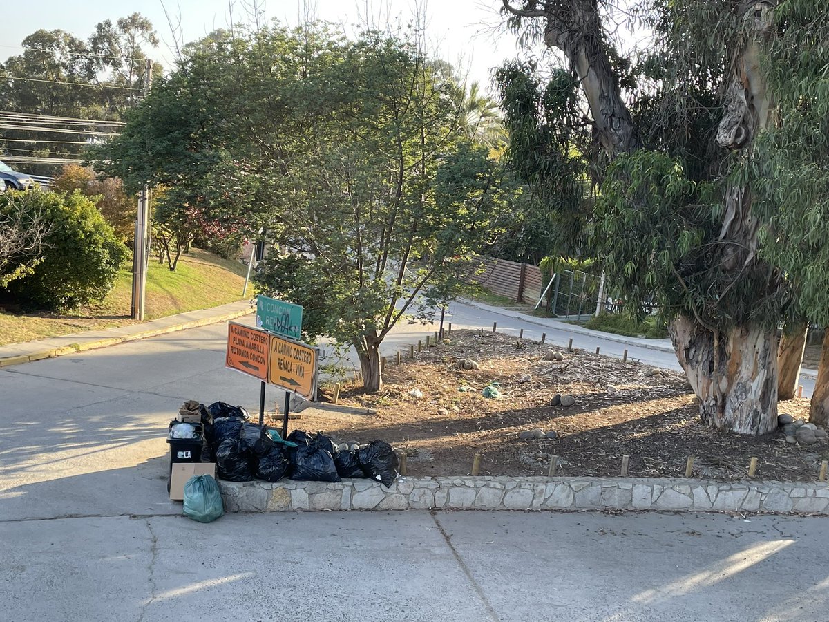 Maite Orozco tweet media