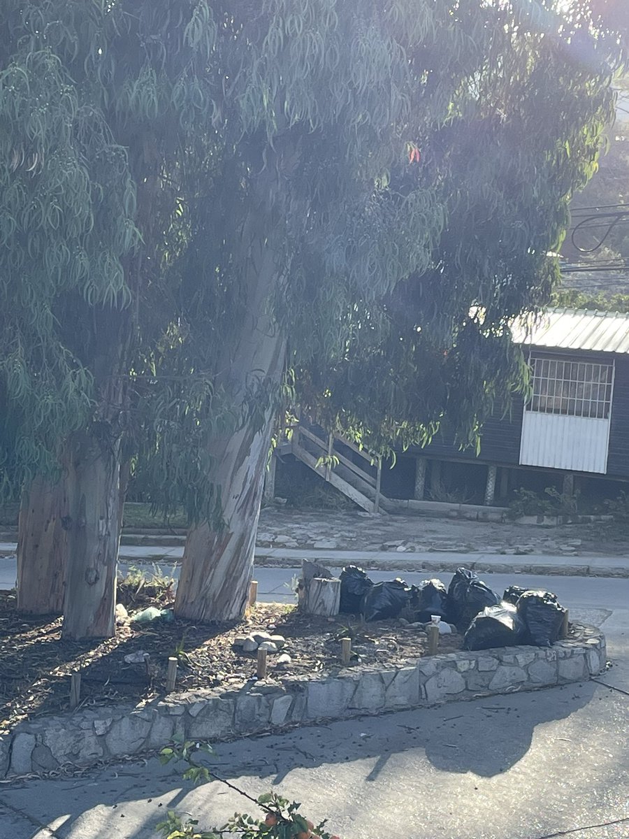 Maite Orozco tweet media