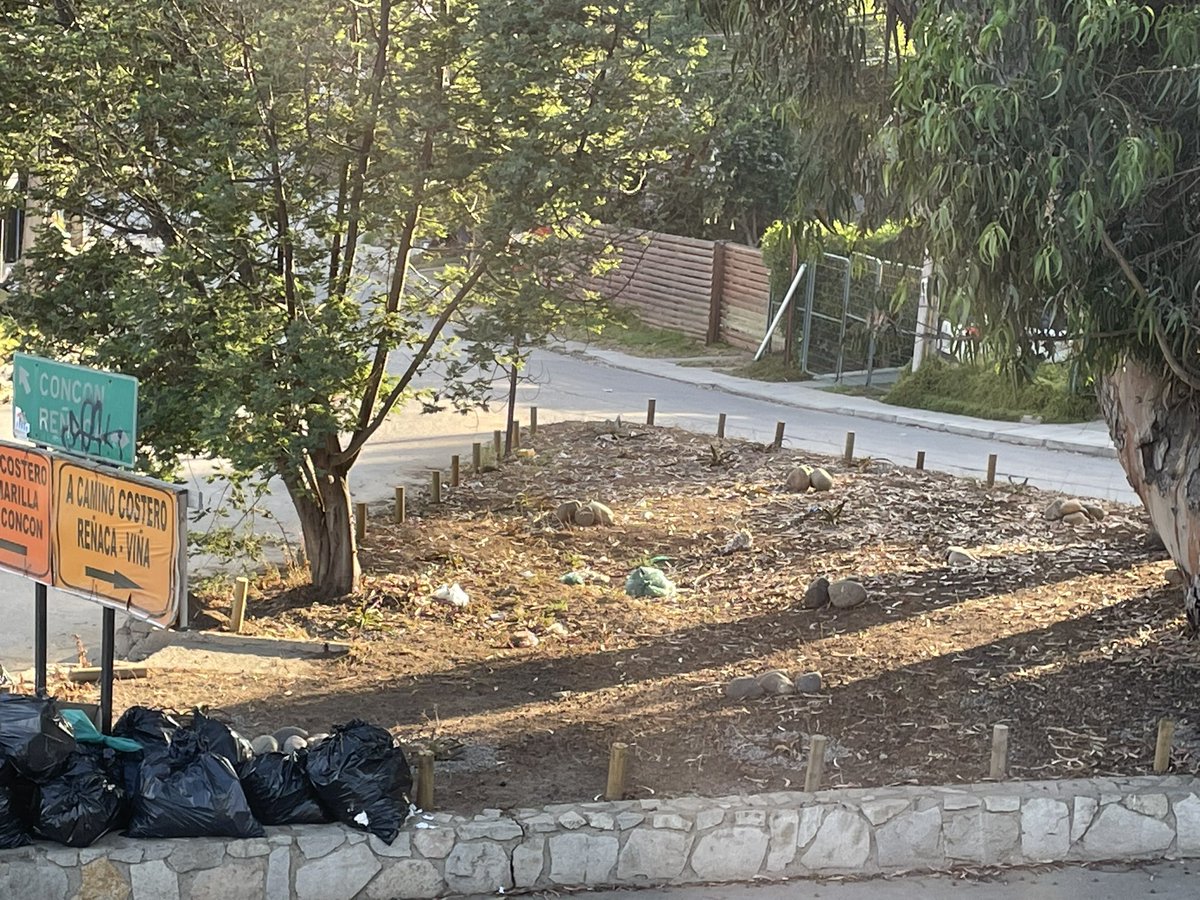 Maite Orozco tweet media