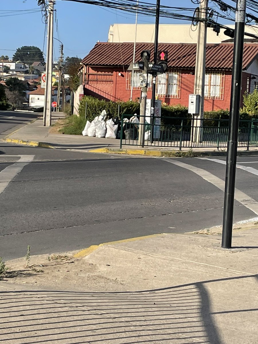 Maite Orozco tweet media