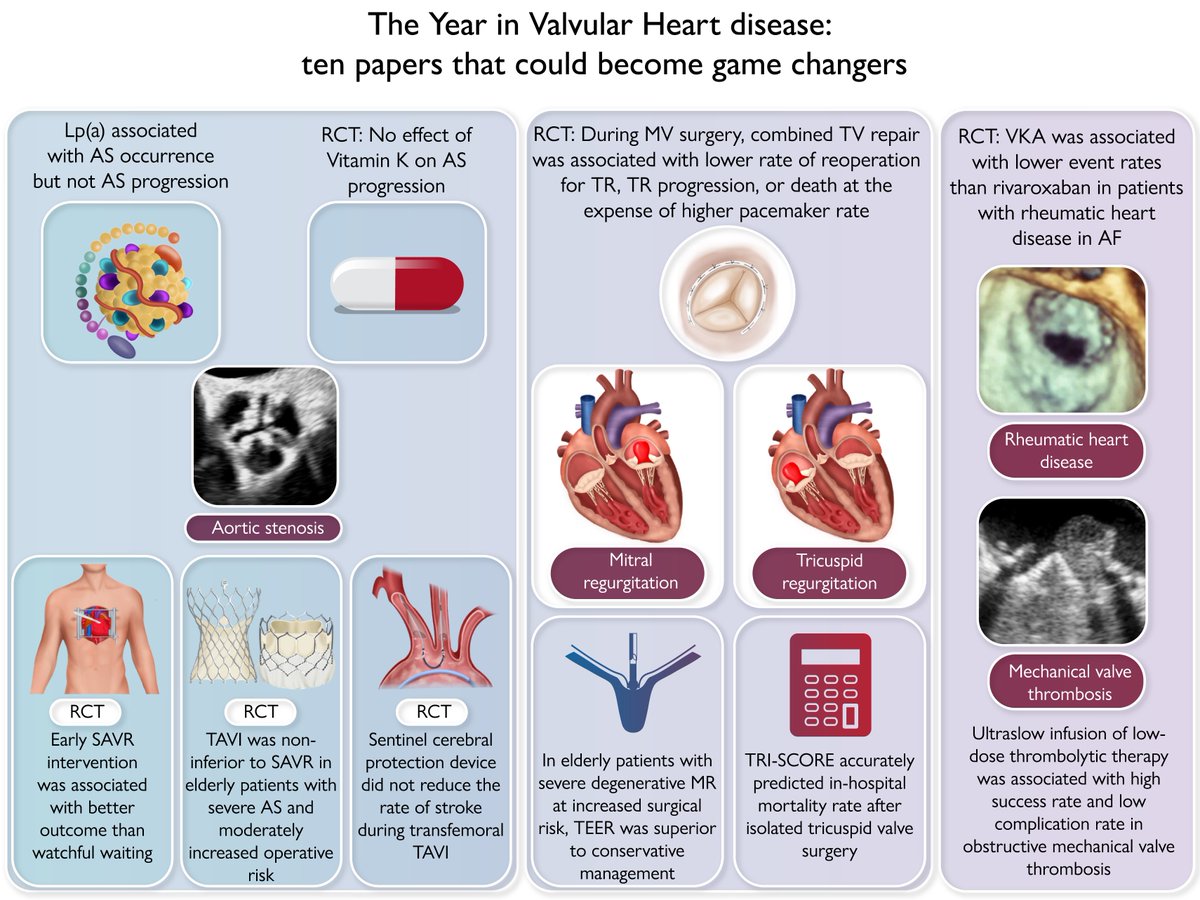 Zill_cardio's tweet photo. The year in cardiovascular medicine 2022: the top 10 papers by EHJ in Valvular Heart Disease and Interventional Cardiology

@ESC_Journals @escardio #CardioTwitter #CardioEd

https://t.co/Pqushe21KD

https://t.co/YcKvmhsaBH https://t.co/DvovwGJEgr