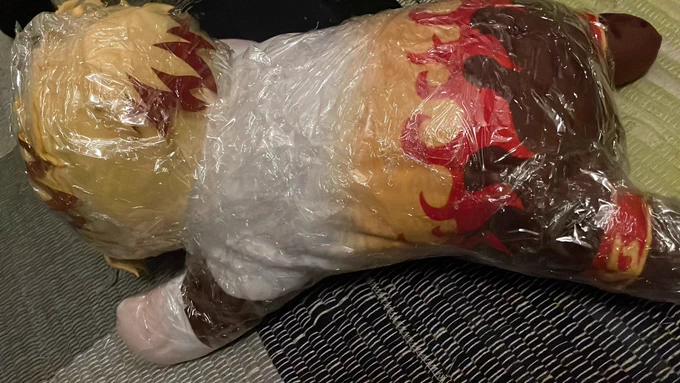 型紙を取るためにラップ責めされたティッシュケースぬいじゅろ 