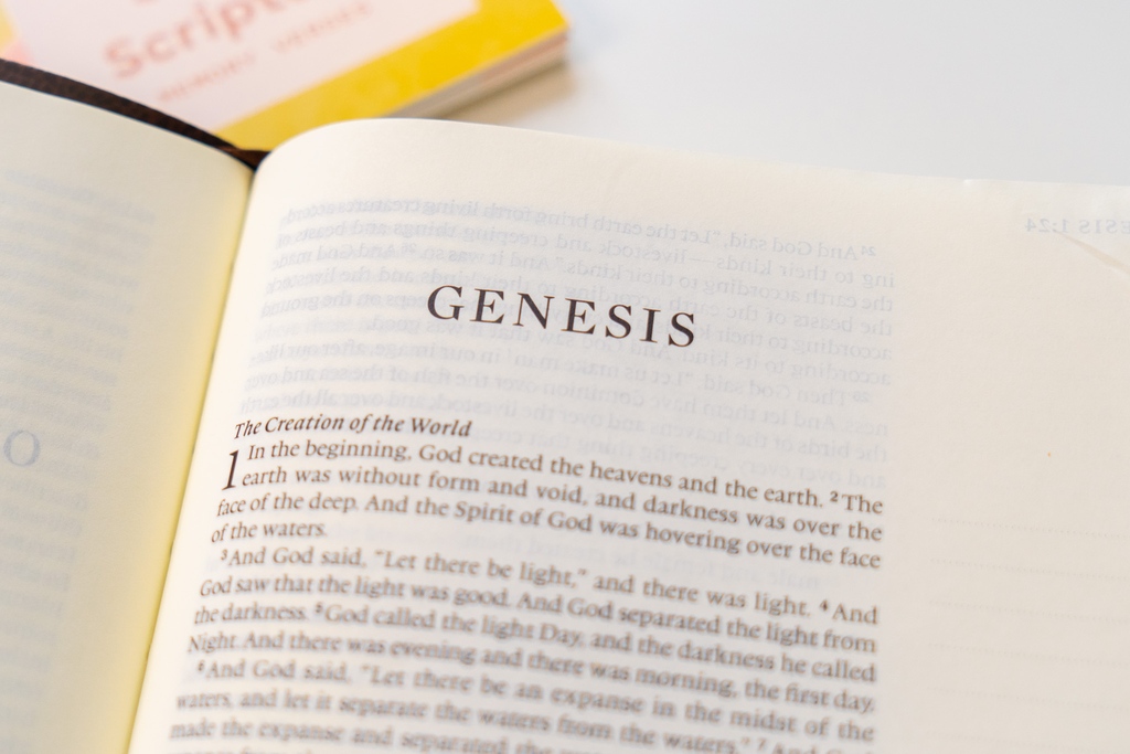 mintedtruth's tweet image. God's definition of gender, marriage, and sex is the only one that counts! Today's blog focuses on the truth outlined in Genesis and affirmed throughout the entirety of Scripture. 

READ IT HERE: 

l8r.it/XriG