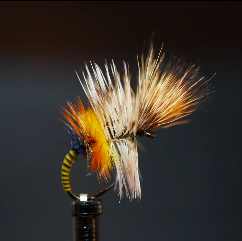 Awesome Cripple
<a href="/fliesbychris/">Chris McCafferty</a>
First of 2023.
I'm going to call this "whisky hangover "

#fliegenbinden #fluebindingnorge #fluebindning #fluebinding #flytyingargentina #flytyingireland #flytyingscotland #flytyingcanada #flytyingaustralia #dryflyordie #emerger #dryflytying