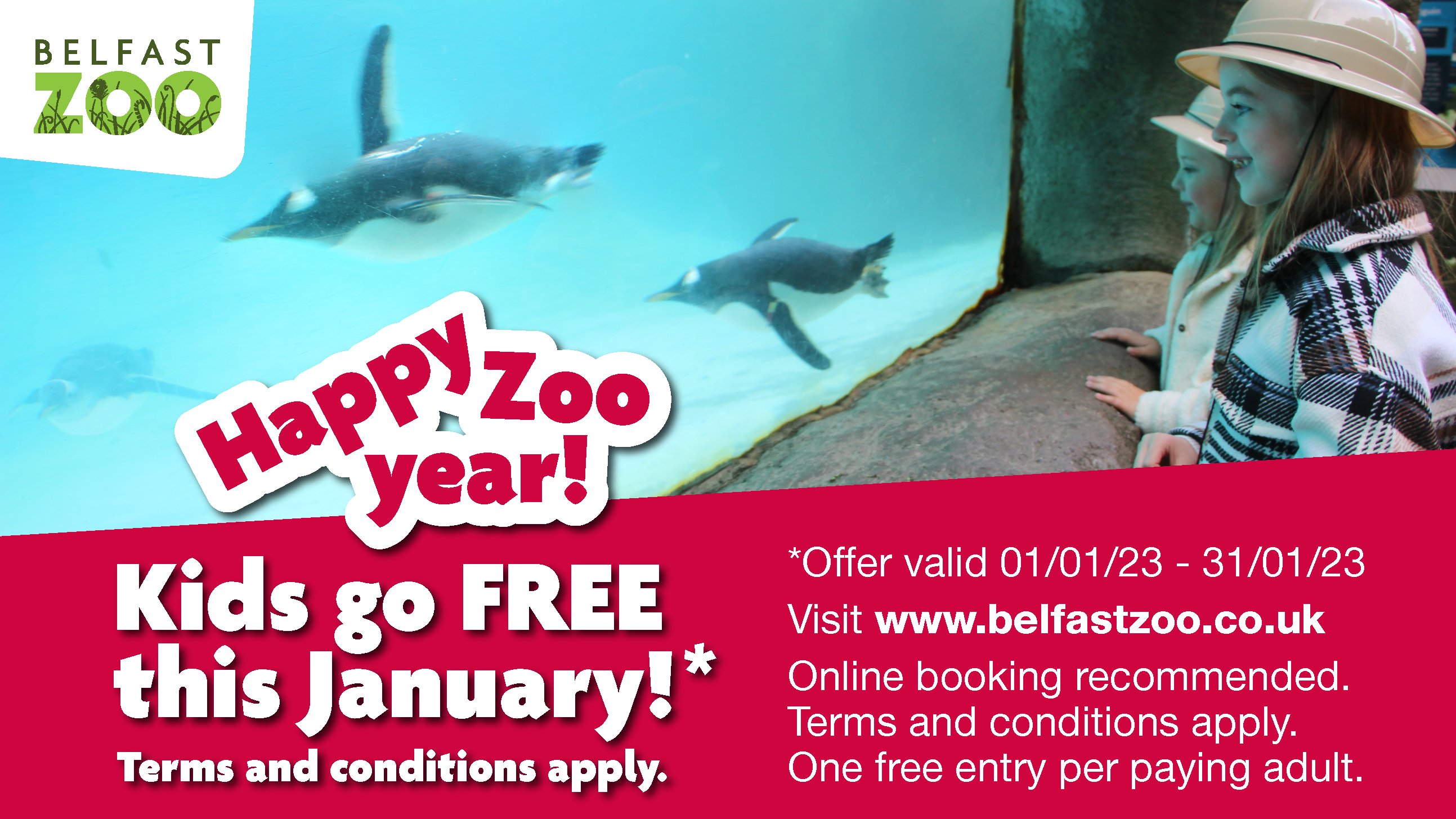 Belfast Zoo (BelfastZoo) / Twitter