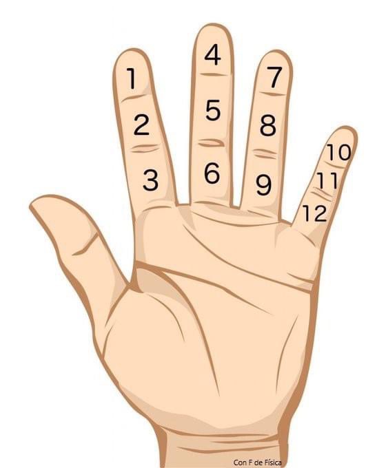 EnsedeCiencia's tweet photo. El número de articulaciones de los dedos en cada mano (excluyendo el pulgar) hace posible contar hasta 12 usando el pulgar. A los egipcios y babilonios les gustaba contar en base doce así y es por eso que tenemos 24 horas en un día y 60 minutos en una hora. https://t.co/QI8aHUvk3t