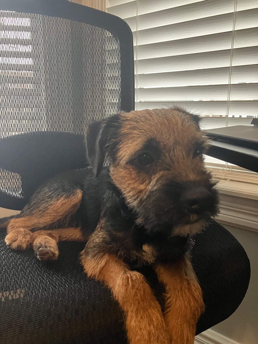 Photo of the week
#BTPosse