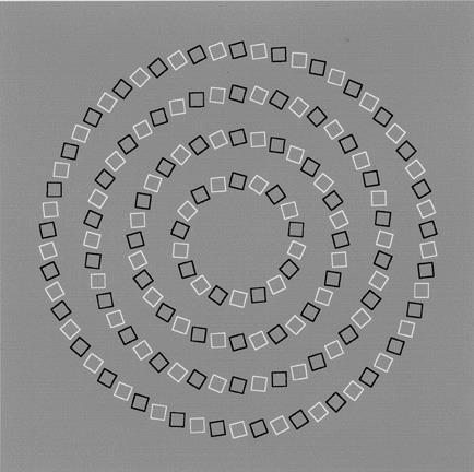Ma rentrée se passait relativement bien... jusqu'à ce qu'on me partage ces 4 cercles concentriques !