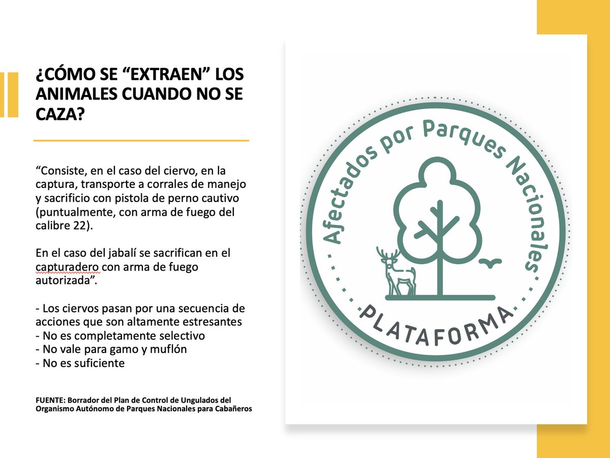 🔎 ¿Cómo se "extraen" los ungulados de Cabañeros desde que no se caza? Y sí, "extraer" significa "sacrificar", porque es imprescindible controlar las poblaciones para evitar la degradación de los ecosistemas... 

<a href="/RFECaza/">RFEC</a> <a href="/f_artemisan/">Fundación Artemisan</a> <a href="/Mareanaranja20M/">Marea naranja</a> <a href="/alianza_rural/">Alianza Rural</a> <a href="/FedCazaCLM/">Federación Caza CLM</a>