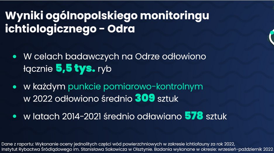 Czas na Odrę! tweet media